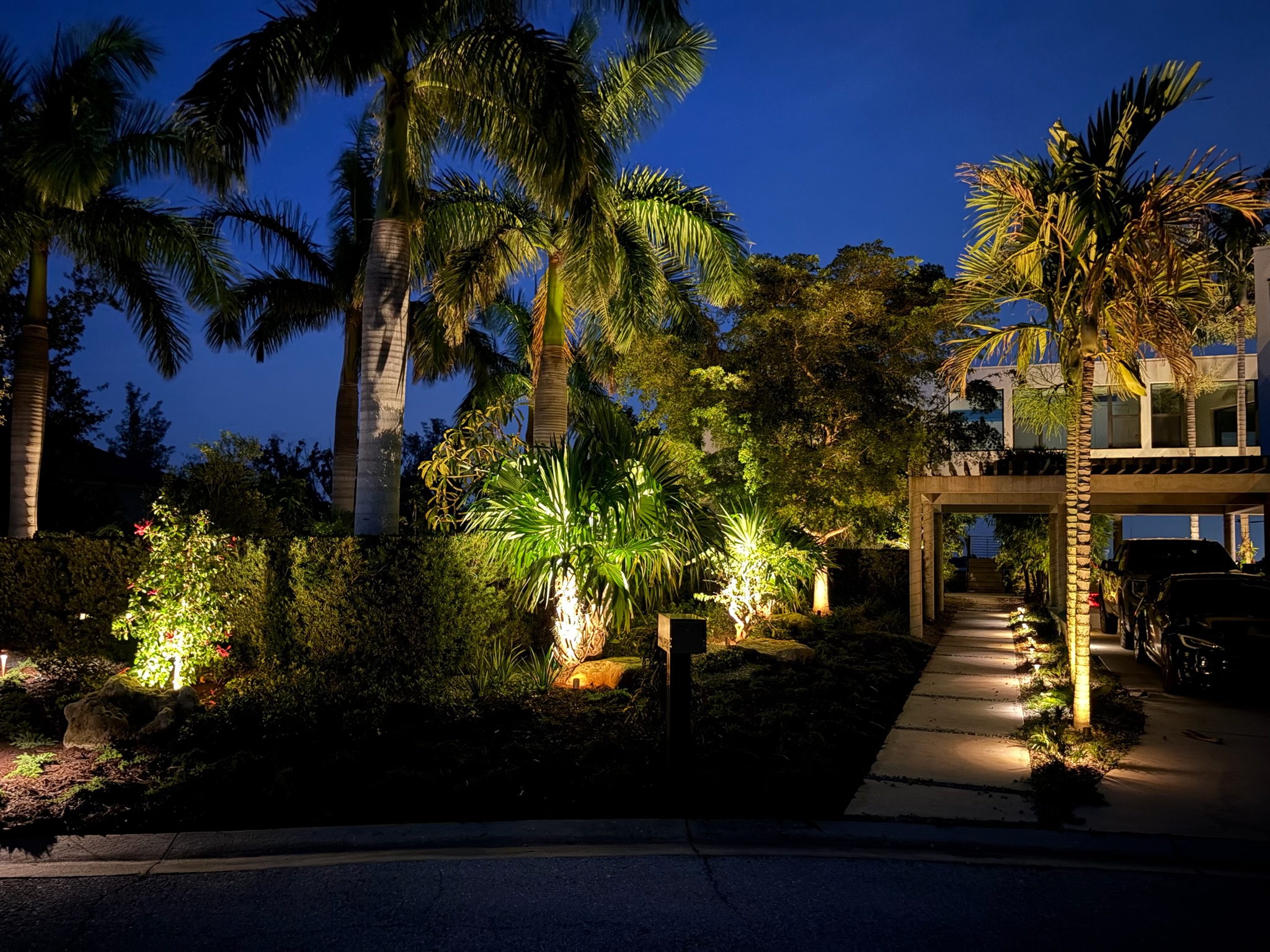 Estate palm canopy landscape lighting in Sarasota